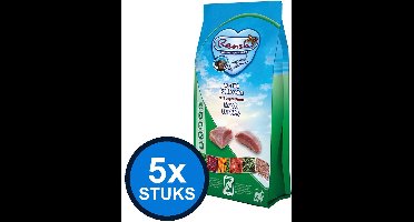 5x Renske - Super Premium droog hond senior kalkoen graanvrij 2kg - Hondenvoer - 2 kg