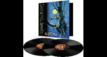 Iron Maiden - Fear Of The Dark (2LP)