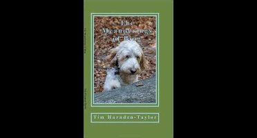 The Meanderings of Bing