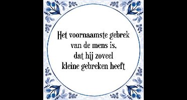 Tegeltje met Spreuk (Tegeltjeswijsheid): Het voornaamste gebrek van de mens is, dat hij zoveel kleine gebreken heeft + Kado verpakking & Plakhanger