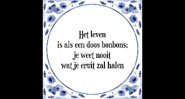 Tegeltje met Spreuk (Tegeltjeswijsheid): Het leven is als een doos bonbons; je weet nooit wat je eruit zal halen + Kado verpakking & Plakhanger