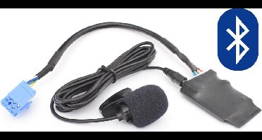 Bluetooth Adapter Lancia Delta & Musa – Muziek Streamen + Bellen | Spotify & YouTube