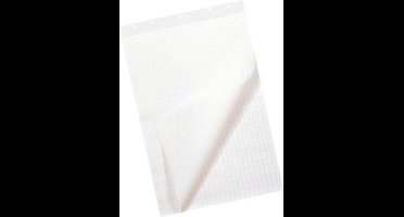 FLIPOVERPAP QUANTORE 65X100CM BLANCO/RUIT 80GR 1 STUK