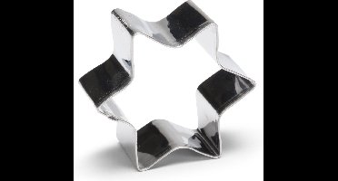 Patisse uitsteekvorm rvs - ster - 4 cm