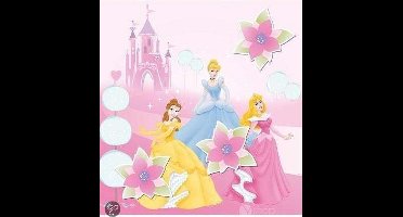 Princess Magnetisch Canvas