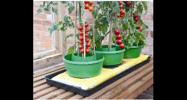 Garland Plant- en gietpot groen - set van 3 stuks - Plant Halos: Een alles-in-één oplossing voor bewatering en gewasondersteuning
