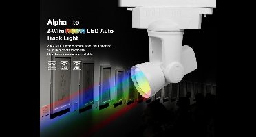Tracklight Auto Rail - 2-Wire RGB+CW - Wit