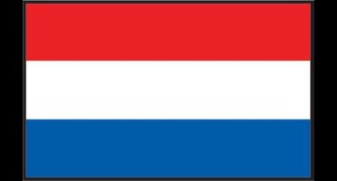 Lalizas Nederlandse vlag 20 x 30cm
