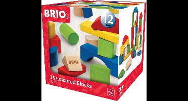 Speelgoed | Wooden Toys - Blokken Gekleurd - 25 Pcs Assorti
