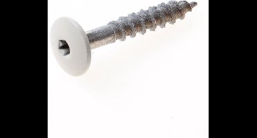 Compactplaatschroef RVS A2 beige 4.8 x 32mm