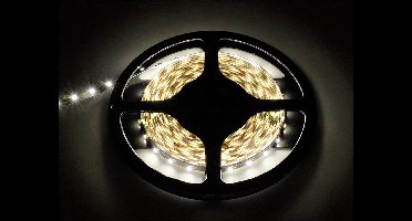 5 meter - Duo Warm Wit-Koud Wit - LED Strip - 12 volt - 3528 SMD