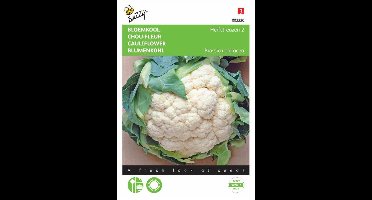 Buzzy Zaden - Bloemkool Herfstreuzen 2 - Brassica oleracea