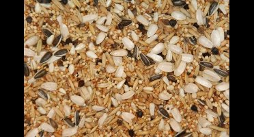 Wielink Special voer voor grote Parkieten 20KG