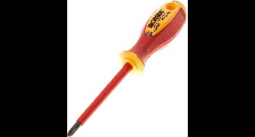 Schroevedraaier vde elektra ph2 100mm