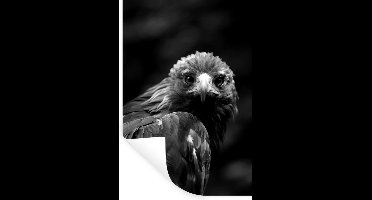 Muurstickers - Sticker Folie - Close-up van een steenarend - zwart wit - 20x30 cm - Plakfolie - Muurstickers Kinderkamer - Zelfklevend Behang - Zelfklevend behangpapier - Stickerfolie