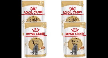 Royal Canin - British Shorthair Loaf Kattenvoer Nat - 48 x 85 gr