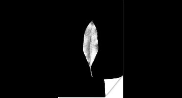 Poster Langwerpig blad op een zwarte achtergrond - zwart wit - 20x30 cm
