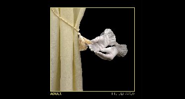 ADULT. - This Behavior (CD)
