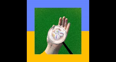 Frankie Cosmos - Close It Quietly (CD)