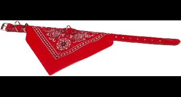 HALSBAND HOND 50 CM ROOD MET ZAKDOEK