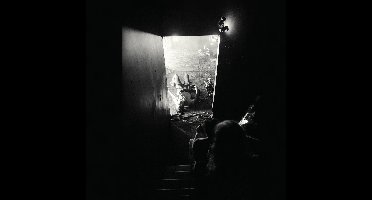 Metz - Automat (LP) ( Limited Edition) (Coloured Vinyl)