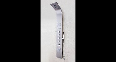 BMS Huron Douchepaneel