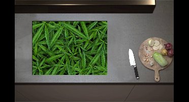 Inductieplaat Beschermer - Bovenaanzicht van Cannabis Planten - 71x51 cm - 2 mm Dik - Inductie Beschermer - Bescherming Inductiekookplaat - Kookplaat Beschermer van Zwart Vinyl