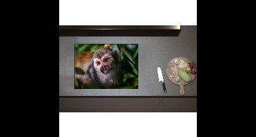 Inductieplaat Beschermer - Aankijkende Eekhoorn Aap tussen de Groene Begroeiing - 70x50 cm - 2 mm Dik - Inductie Beschermer - Bescherming Inductiekookplaat - Kookplaat Beschermer van Zwart Vinyl
