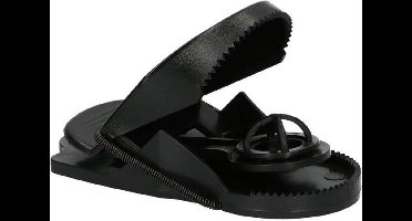 Muizenval plastic - 2 stuks - Veilig in gebruik - Anti muizen - Muizenplaag - Muizenvallen - Muizen - Val muis