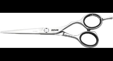 Jaguar Silver Line CJ4 Plus Knipschaar