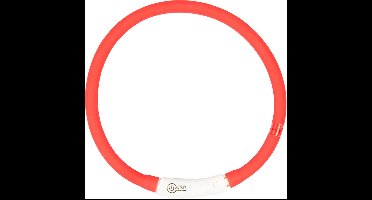 Duvoplus - Dierenkleding - Hond - Flash Light Ring Usb Nylon 35x1x1,5cm Rood - 1st