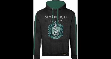 Harry Potter Slytherin Heren Trui met capuchon - meerkleurig - XL