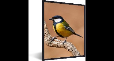PosterMonkey - Poster - Fotolijst - Koolmees - Vogel - Takken - 60x80 cm - Poster natuur - Poster vogels - Foto in lijst - Poster frame