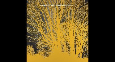 Nada Surf - The Stars Are Indifferent To Astronomy (CD)