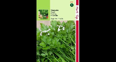 2 stuks - Hortitops - Peterselie Gigante d Italia