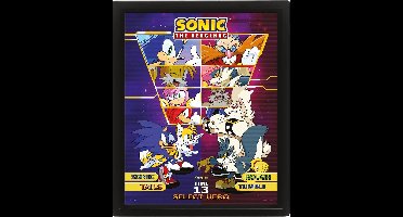 Sonic The Hedgehog Select Your Fighter - Framed 3D Poster