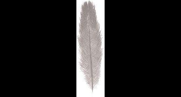Chaks Pieten struisvogelveer/sierveer - licht grijs - 55-60 cm - decoratie/hobbymateriaal