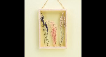 Winkee Transparant Fotolijstje - Rechthoek