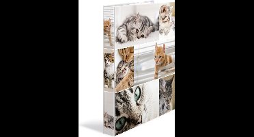 HERMA 19428 map Karton Multi kleuren A4