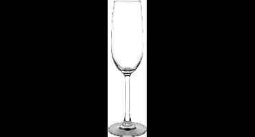 Olympia Modale Flute 21,5cl - 6 Stuks
