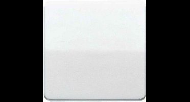 JUNG CD500 series | 2-polige schakelaar | wit