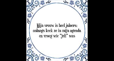 Tegeltje met Spreuk (Tegeltjeswijsheid): Mijn vrouw is heel jaloers; onlangs keek ze in mijn agenda en vroeg wie "juli" was + Kado verpakking & Plakhanger