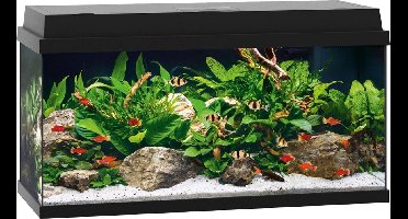 Juwel Primo 110 Aquarium - 81 x 36 x 45 cm -  110 L - Zwart