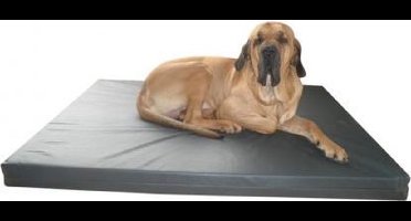 Topmast Gezondheidsmatras 150x100cm Leatherlook Antraciet