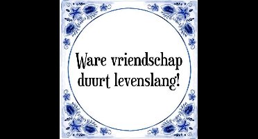 Tegeltje met Spreuk (Tegeltjeswijsheid): Ware vriendschap duurt levenslang! + Kado verpakking & Plakhanger