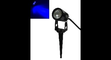 LED buiten spot blauw - 3W - 12V