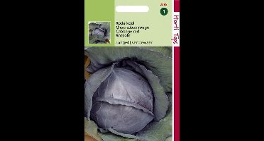 Hortitops zaden - Rodekool Langedijker Bewaar 2