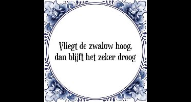 Tegeltje met Spreuk (Tegeltjeswijsheid): Vliegt de zwaluw hoog, dan blijft het zeker droog + Kado verpakking & Plakhanger