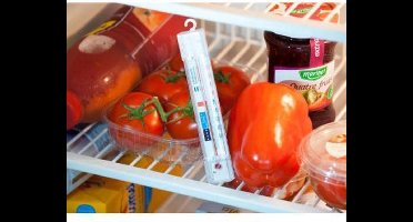 Nature diepvriesthermometer