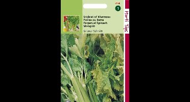 Hortitops Zaden - Snijbiet Groene Gewone
